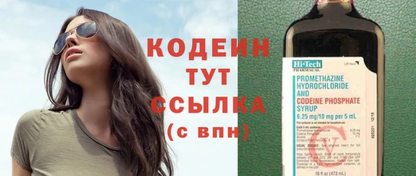 PSILOCYBIN Каменка