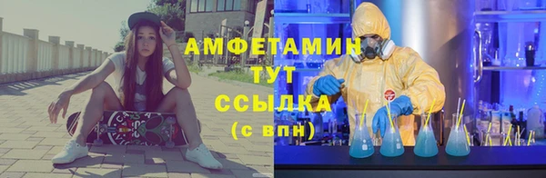 PSILOCYBIN Каменка