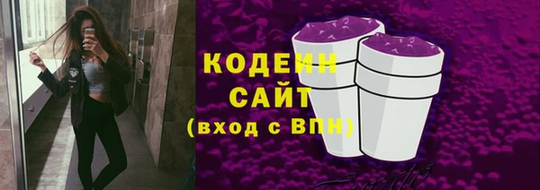 PSILOCYBIN Каменка