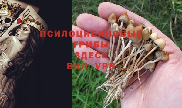 спиды Каменск-Шахтинский