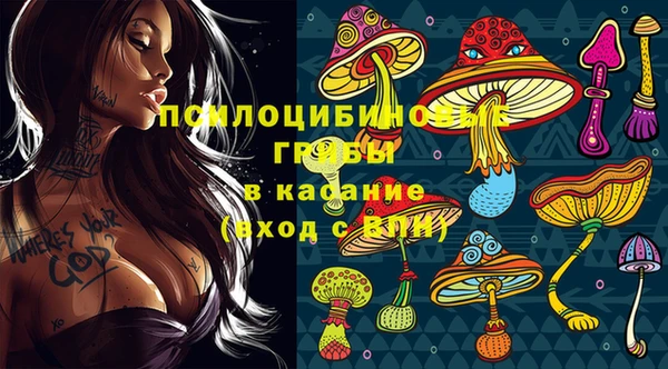 спиды Каменск-Шахтинский