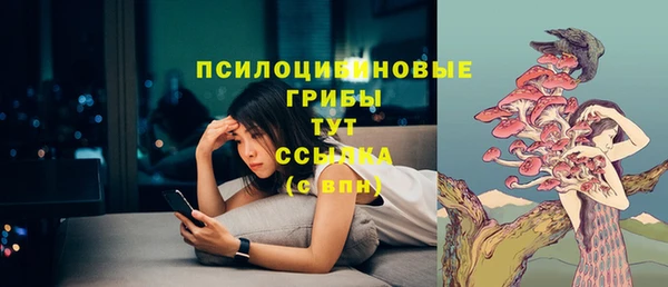 PSILOCYBIN Каменка